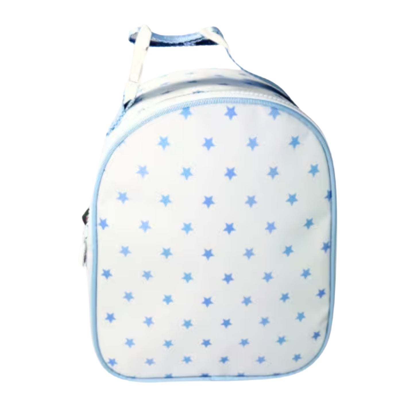 Mint Wipeable Lunchbox