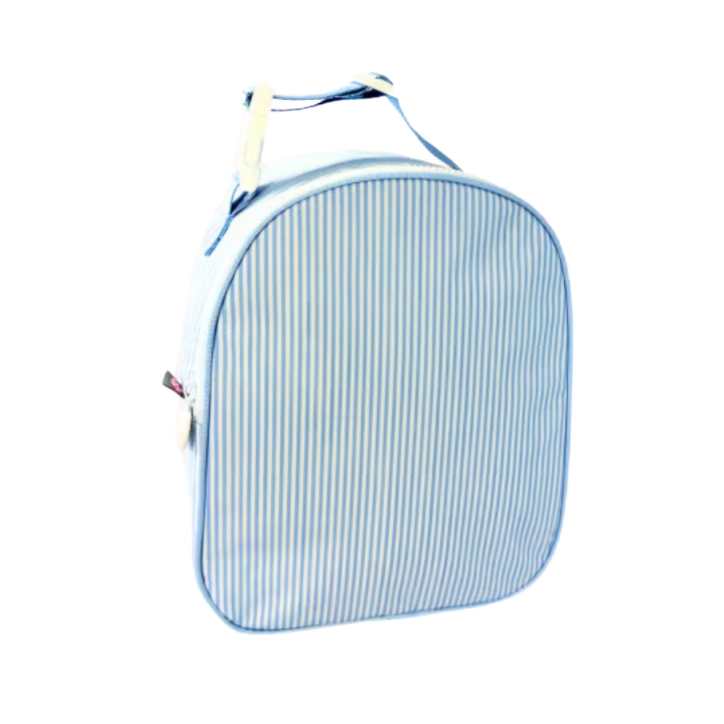 Mint Wipeable Lunchbox